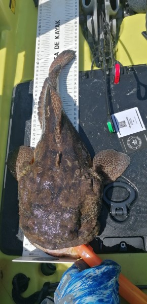 Fish Measure Picture