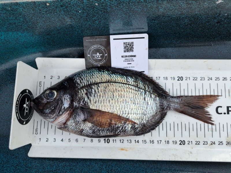 Fish Measure Picture