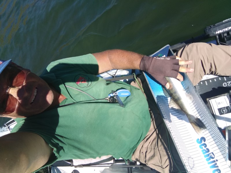 Fish Profile Picture