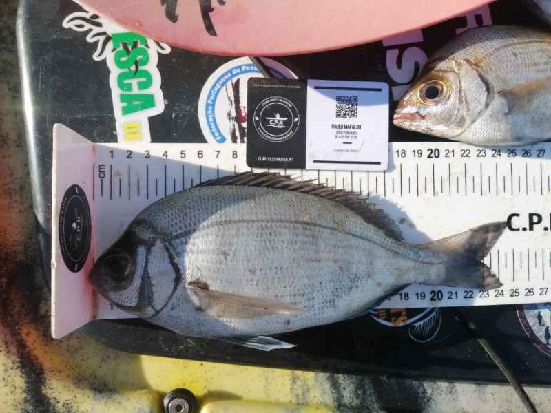 Fish Measure Picture