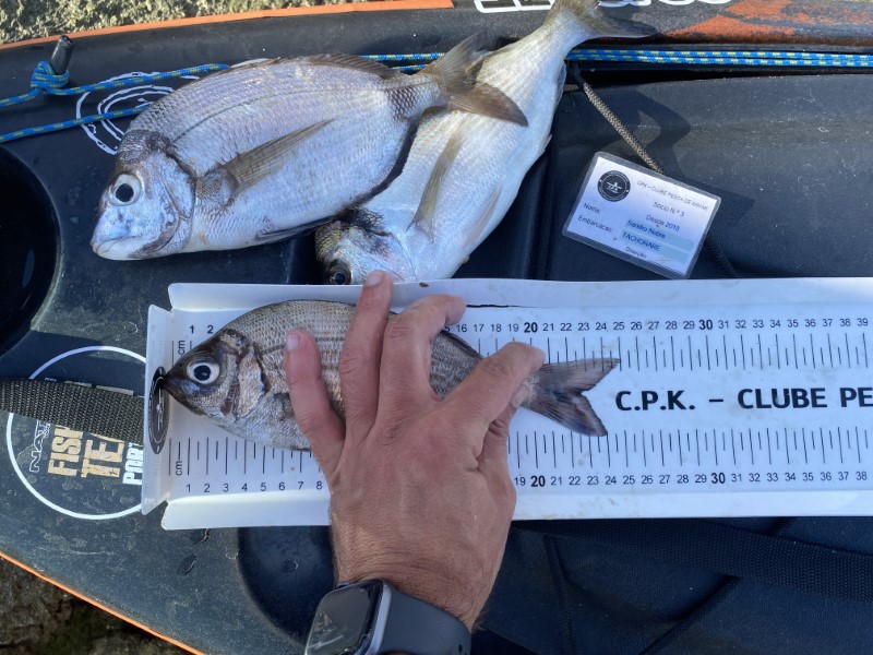 Fish Measure Picture