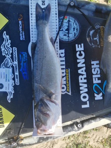 Fish Measure Picture