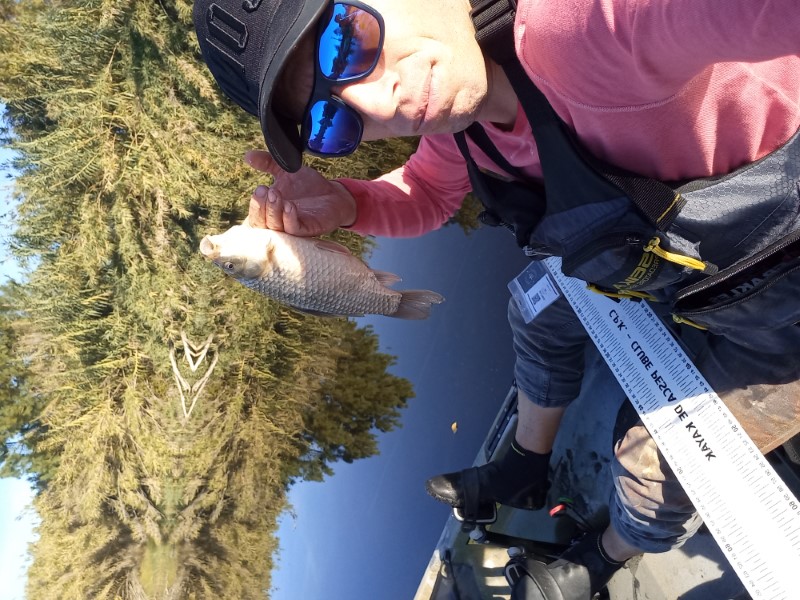 Fish Profile Picture