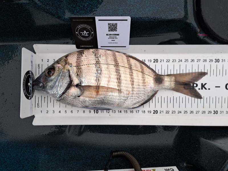 Fish Measure Picture