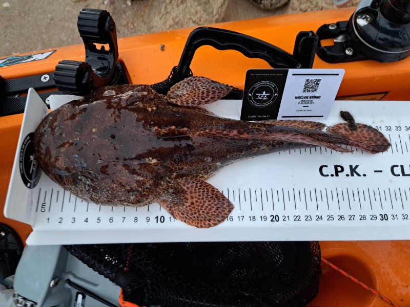 Fish Measure Picture