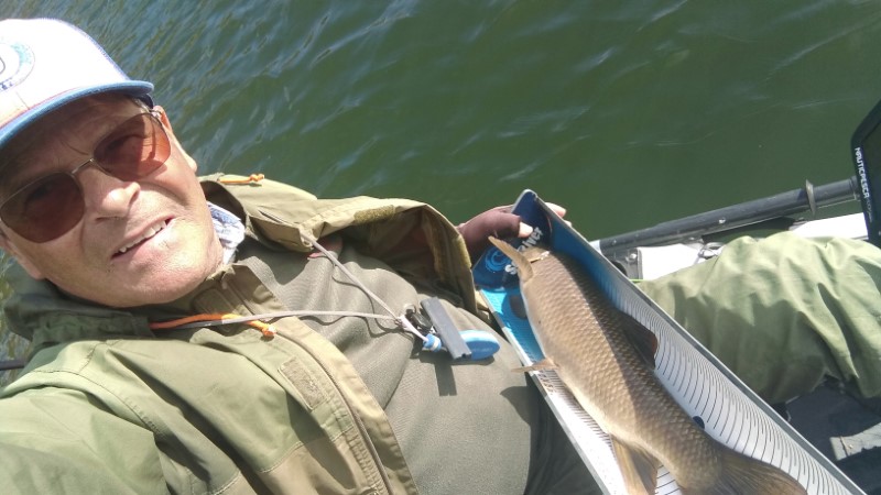 Fish Profile Picture