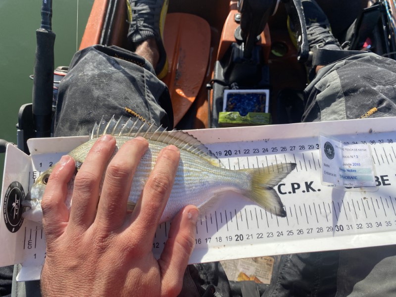 Fish Measure Picture