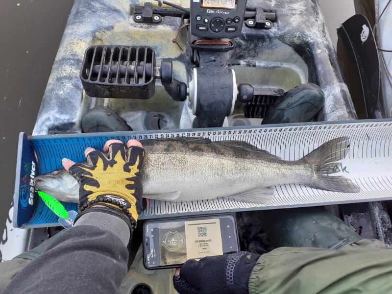 Fish Measure Picture