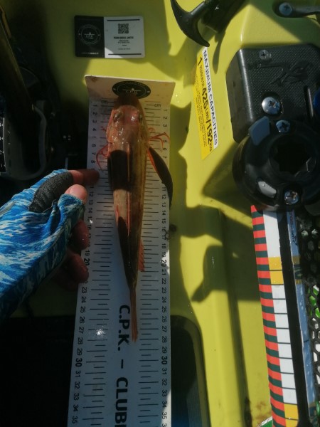 Fish Measure Picture