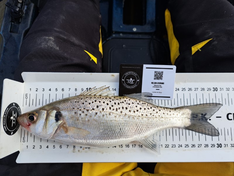 Fish Measure Picture