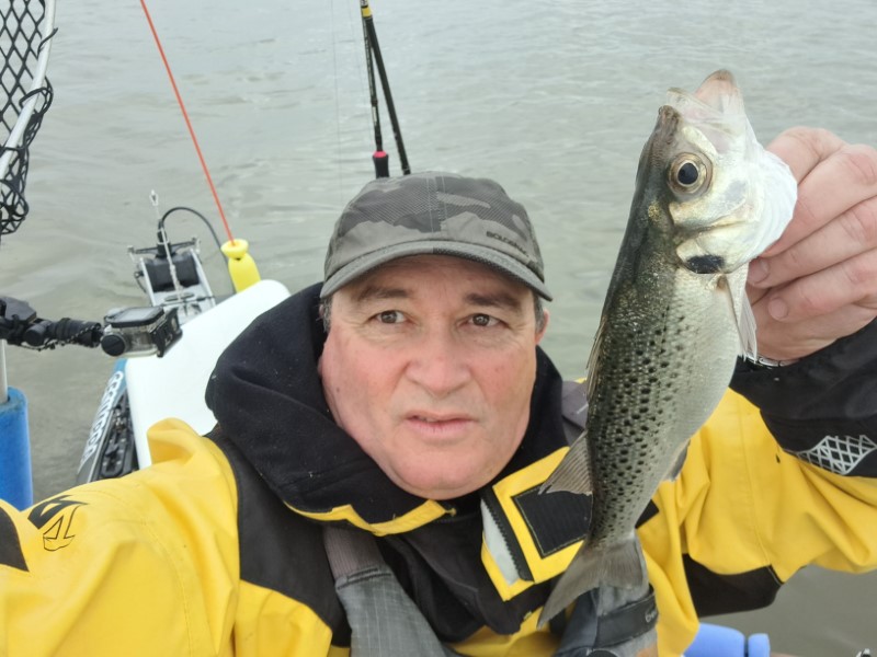 Fish Profile Picture