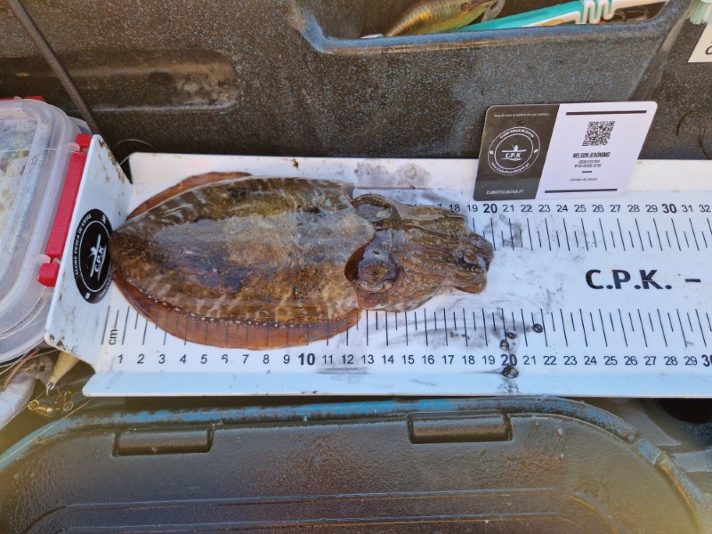 Fish Measure Picture