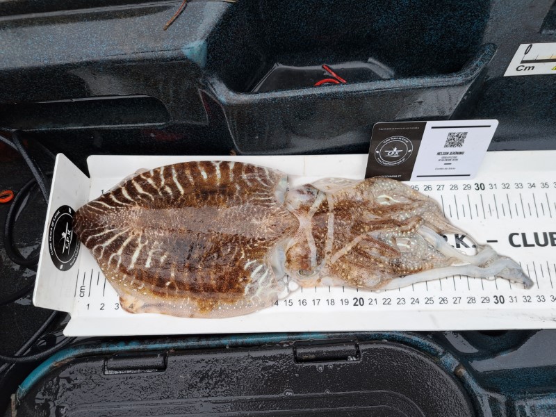 Fish Measure Picture