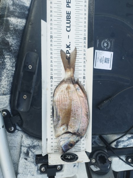 Fish Measure Picture