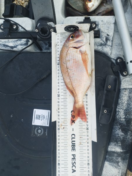Fish Measure Picture