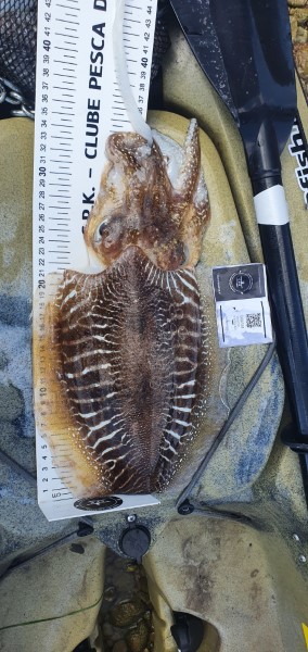 Fish Measure Picture