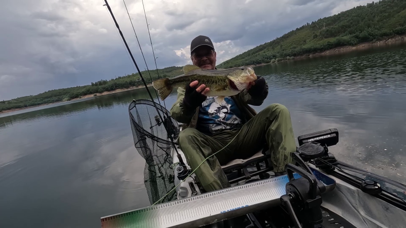 Fish Profile Picture