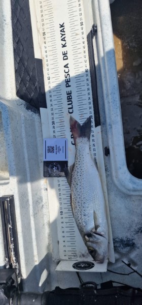 Fish Measure Picture