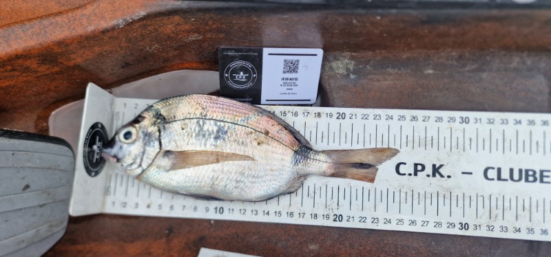 Fish Measure Picture