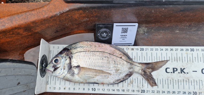 Fish Measure Picture