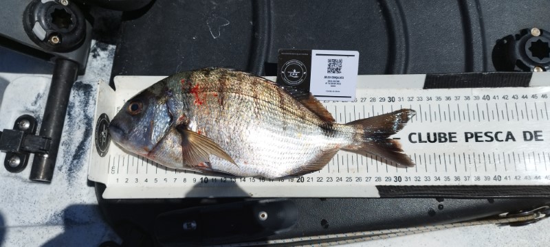 Fish Measure Picture