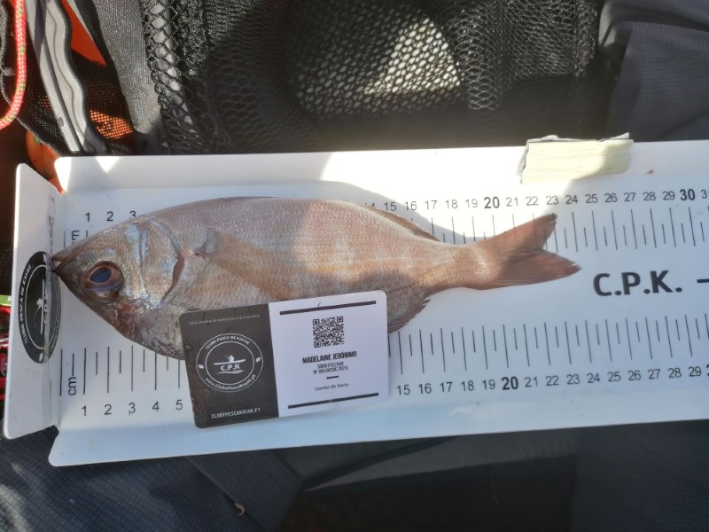 Fish Measure Picture