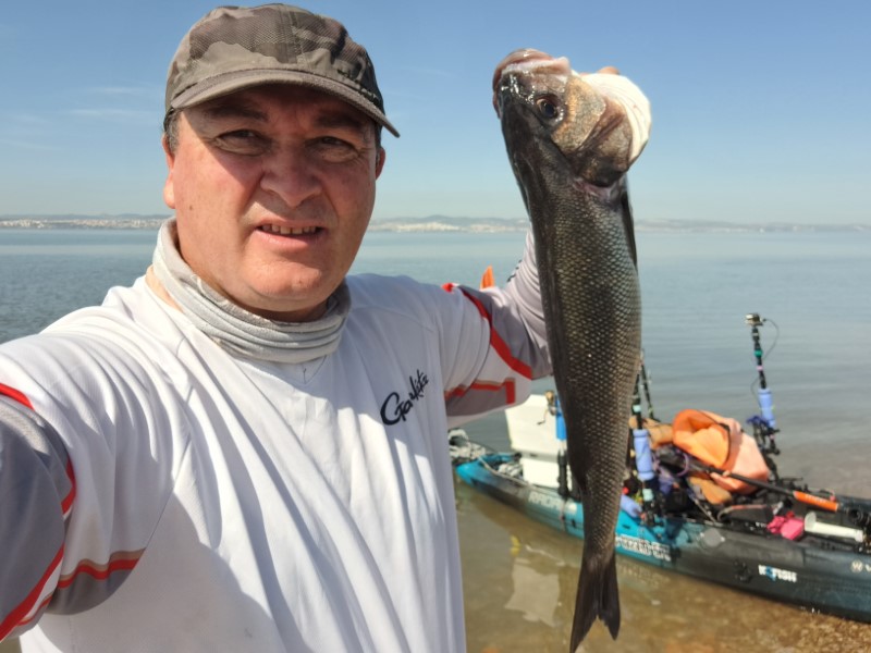 Fish Profile Picture