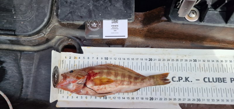 Fish Measure Picture