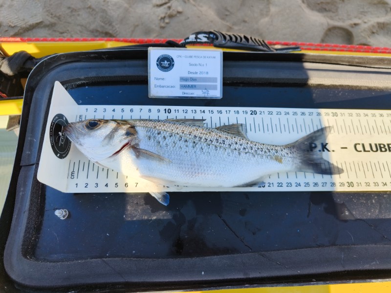 Fish Measure Picture