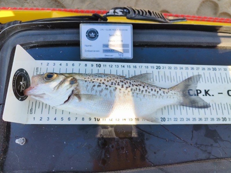 Fish Measure Picture