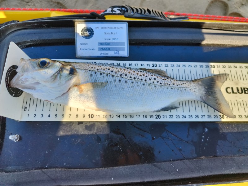 Fish Measure Picture