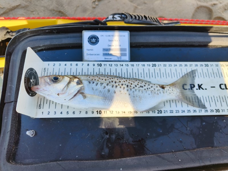 Fish Measure Picture
