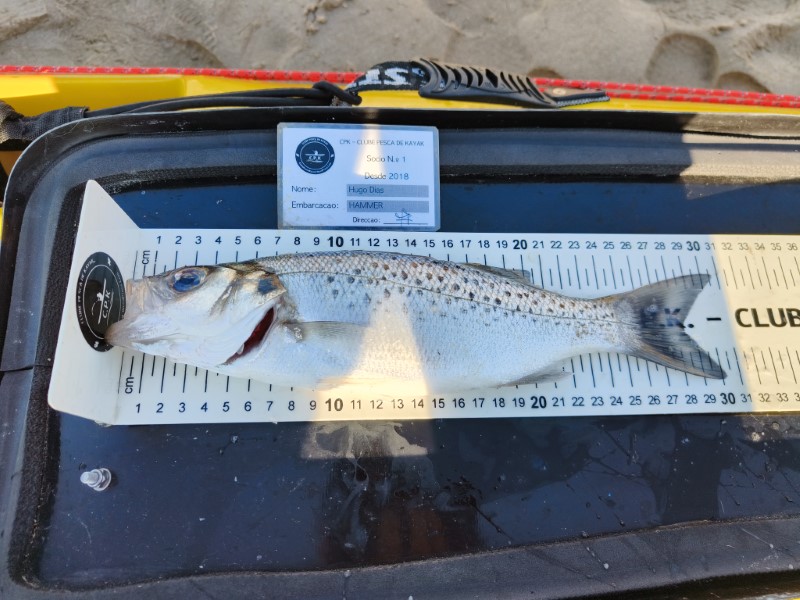 Fish Measure Picture