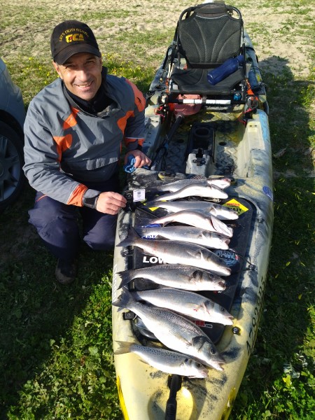 Fish Profile Picture