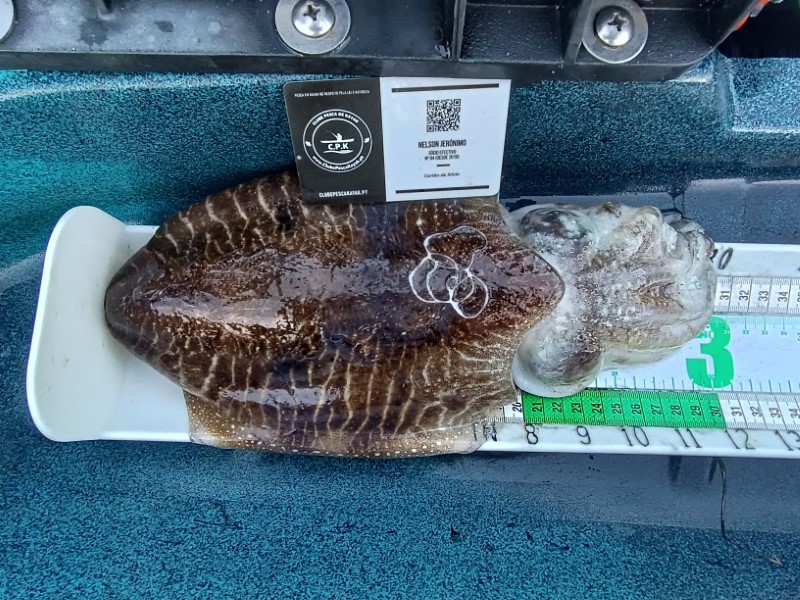 Fish Measure Picture