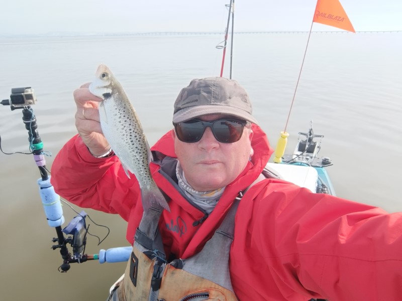 Fish Profile Picture