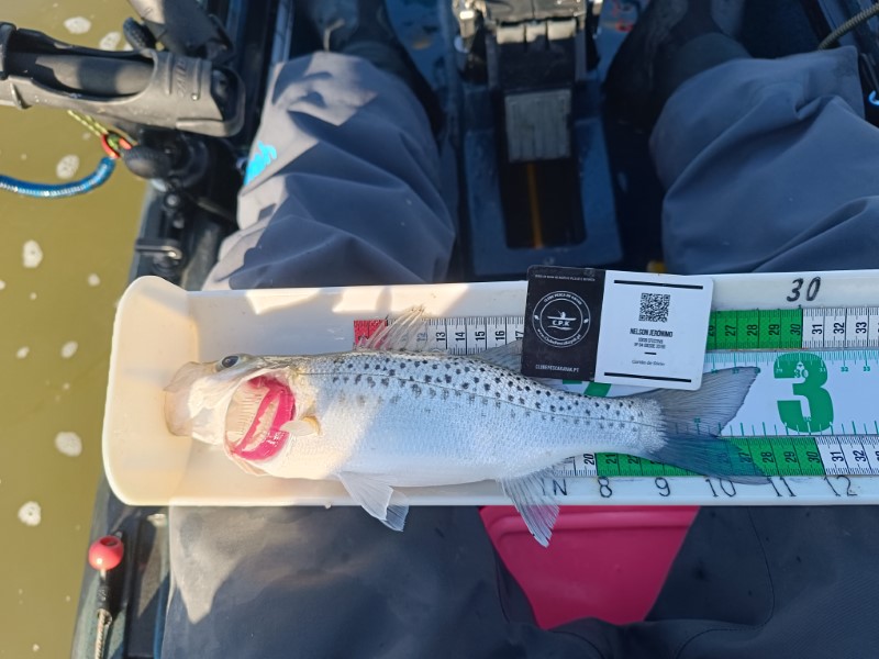 Fish Measure Picture