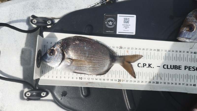 Fish Measure Picture