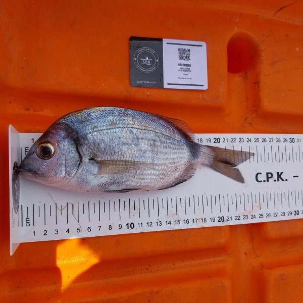 Fish Measure Picture