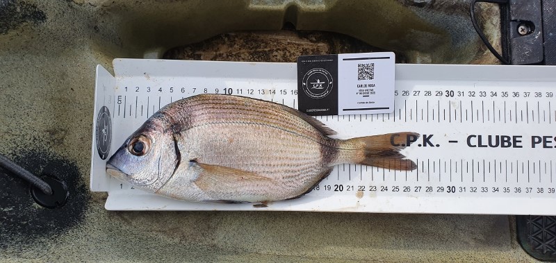 Fish Measure Picture