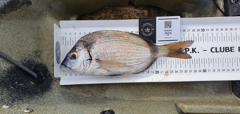 Fish Measure Picture