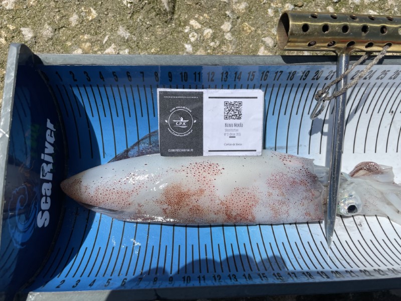 Fish Measure Picture