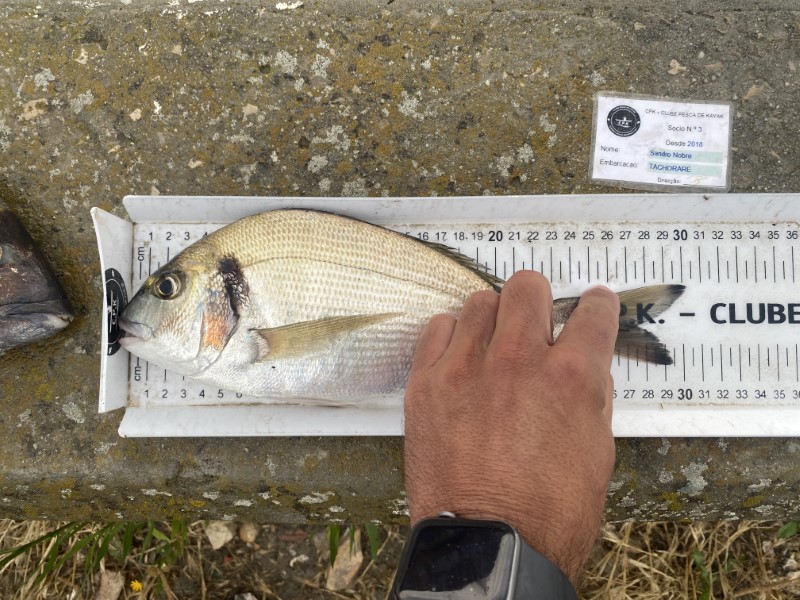 Fish Measure Picture