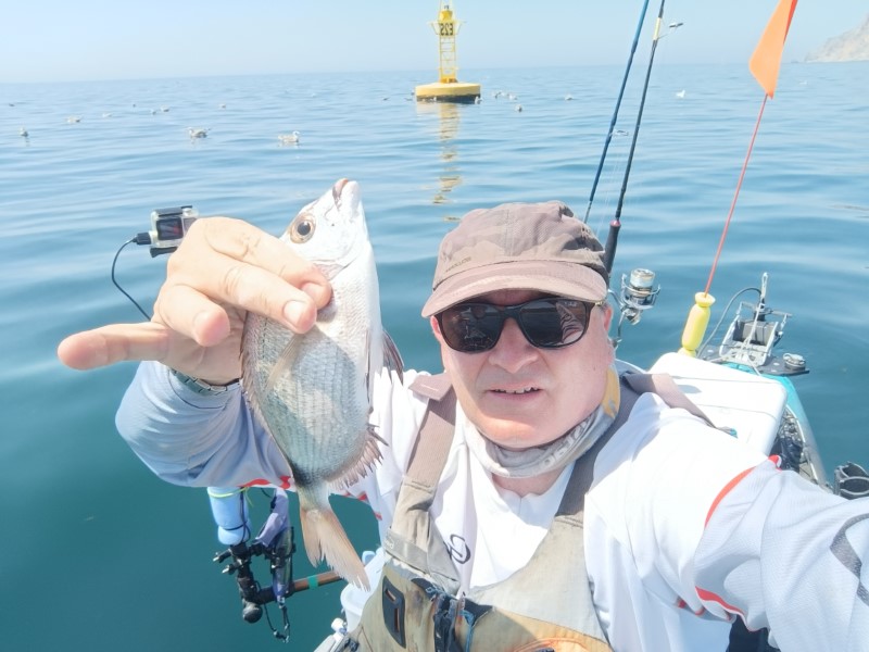 Fish Profile Picture