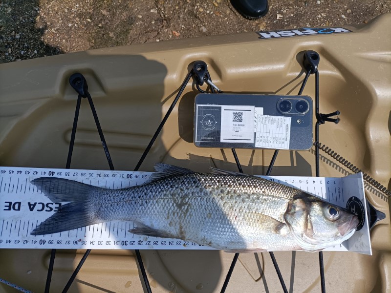 Fish Measure Picture