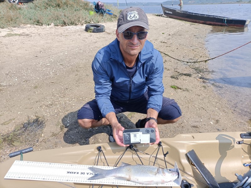 Fish Profile Picture