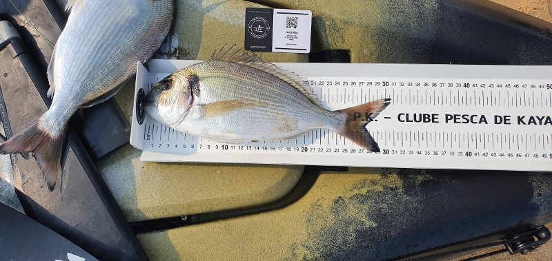 Fish Measure Picture