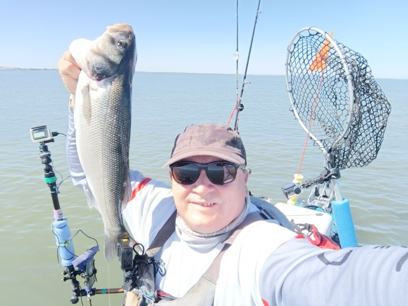 Fish Profile Picture