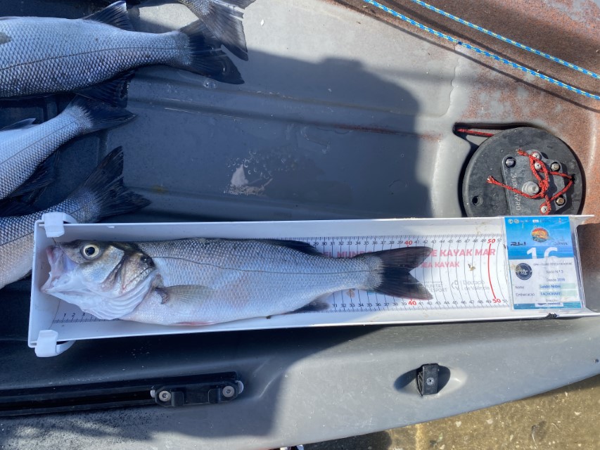 Fish Measure Picture