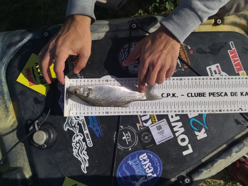 Fish Measure Picture